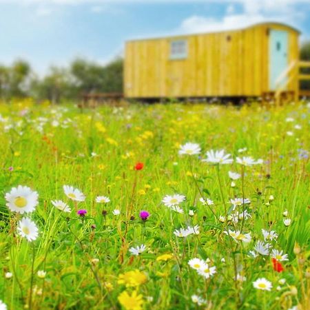 Honeysuckle Farm Holidays By Stay In Suffolk, Monk Soham Woodbridge Kültér fotó