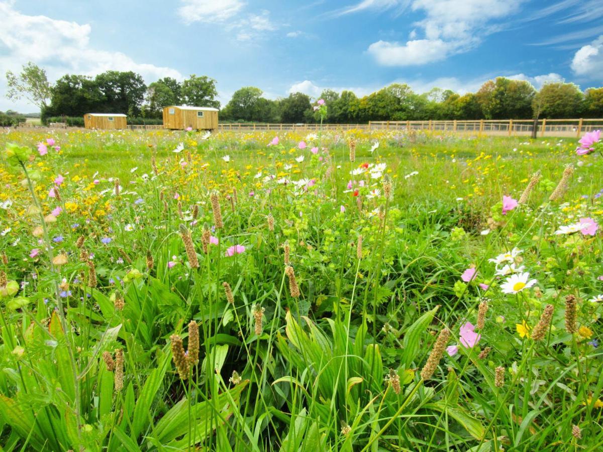 Honeysuckle Farm Holidays By Stay In Suffolk, Monk Soham Woodbridge Kültér fotó