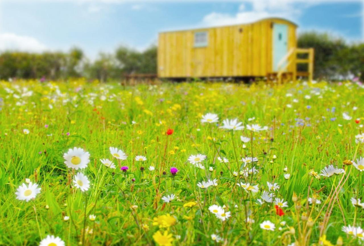 Honeysuckle Farm Holidays By Stay In Suffolk, Monk Soham Woodbridge Kültér fotó